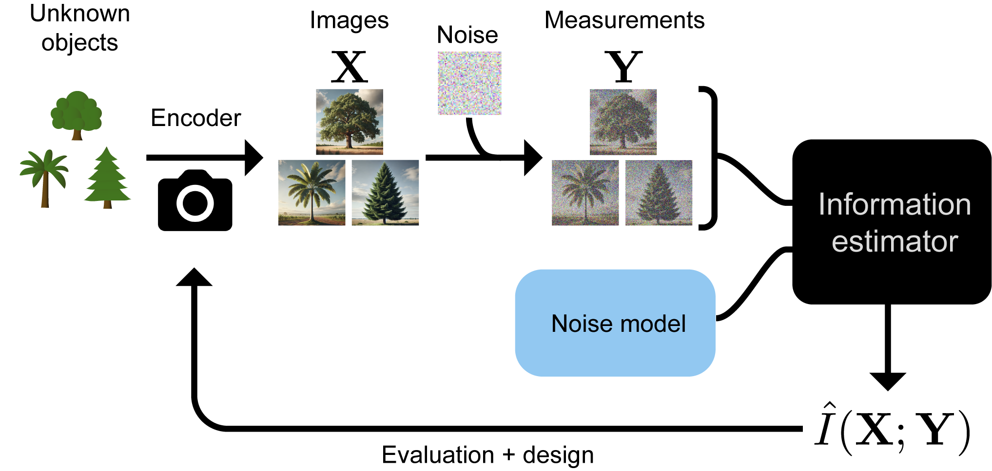 Information Estimation Overview